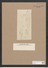 Navicula sp. (de-Toni-Nr.: Genus 1) Zeichnungen Sammlung Grunow Nr. 1577 (NHMW-BOT-W0368110)